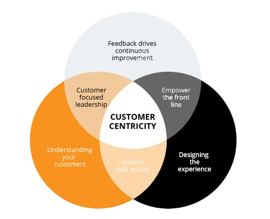 Business Compliance Services